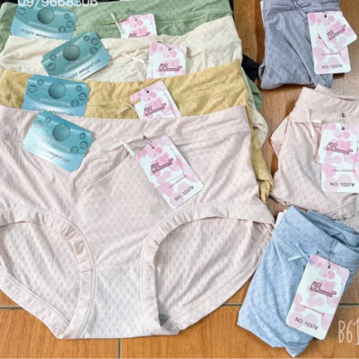 Combo 5 quần lót nữ thun trơn thông hơi 1037 — Quần lót cotton co giãn, thoáng mát, ôm vừa (5 màu)
