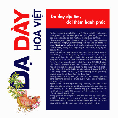 Viên uống chống trào ngược Dạ dày Hoa Việt , giảm đau dạ dày, dạ dày mạn tính, êm bụng ngay, lọ 60 viên