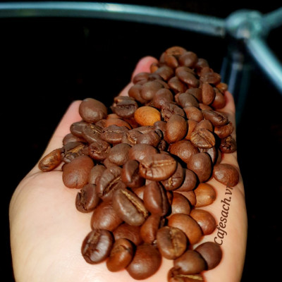 Cà Phê Sạch Cafesach Đắk Lộc 1, Cà Phê Vì Sức Khỏe, Hàng Chất Lượng Cao Được Chọn Từ Những Hạt Cà Phê Chất Lượng Nhất