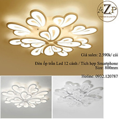 ĐÈN ỐP TRẦN / ĐÈN TRANG TRÍ / ĐÈN PHÒNG KHÁCH / PHÒNG NGỦ AZP-MO981-12 phong cách đương đại, hàng nhập khẩu AZP