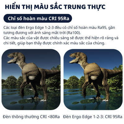 Đèn bàn học bảo vệ mắt DandiHome Ergo Edge chống cận để làm việc, học tập có thể kéo dài và gấp gọn - 3 phiên bản