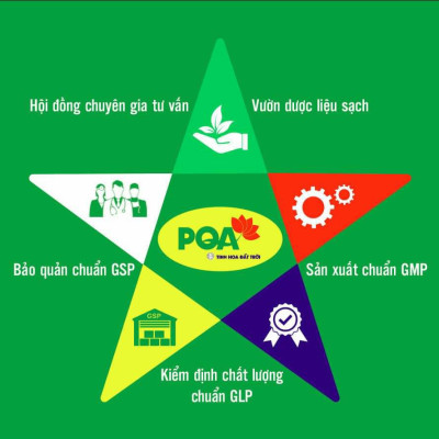 Tam Hoàng Thanh Nhiệt PQA Giúp Giải Độc Cơ Thể Giảm Triệu Chứng Nhiệt Miệng Hộp 10 Ống