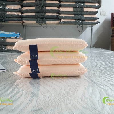 Gối Cao Su Liên Á Oval 24x37x6.5cm - Gối Văn Phòng, Gối Trẻ Em Cao Su Thiên Nhiên 100%