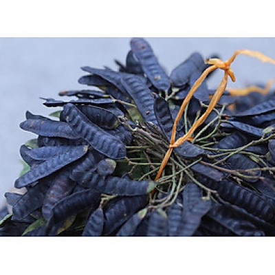 Quả bồ kết khô Song An Eco xông nhà diệt khuẩn