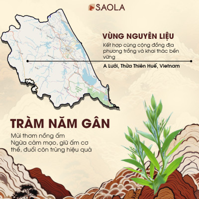 Cao Tràm Sao la 11g - Melaleuca Essential oil Balm: Giúp làm ấm cơ thể, giảm triệu chứng côn trùng đốt, giảm đau đầu, nghẹt mũi ở bé. Sản phẩm từ thiên nhiên - Hàng Chính Hãng