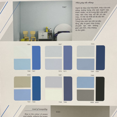 Sơn phào chỉ cho trần nhà Toa thoải mái lau chùi màu B- 8096 _1L