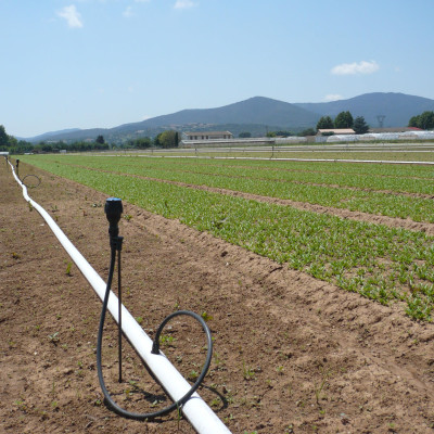 bộ 10 đầu phun meganet 360 độ lưu lượng 350l/h