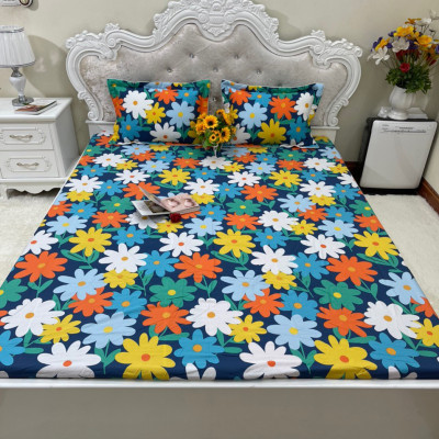 Ga giường chun cotton 100% bọc đệm tặng kèm 2 vỏ gối đầu