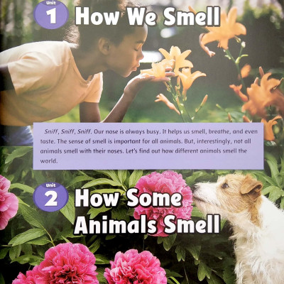 Smart Reading 6-1 (180 Words)