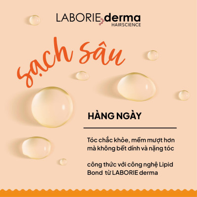 Dầu gội hỗ trợ phục hồi, tăng cường chắc khỏe tóc LABORIE derma Bond Shampoo 250ml