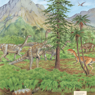 Sách - Bách Khoa Khủng Long Toàn Tập - Bìa Cứng