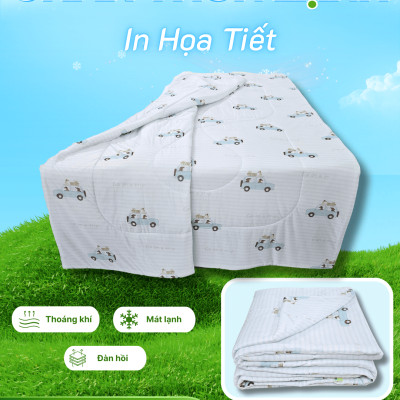 Chăn chần Thun Lạnh 180x200 in Họa Tiết