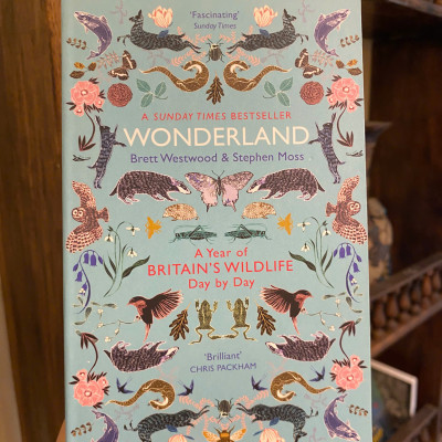 Sách - Wonderland: A Year of Britain