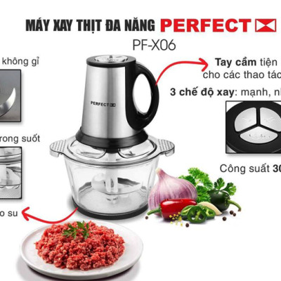 (Mẫu mới) Máy xay thực phẩm đa năng Perfect PF-X06 xay thịt, rau củ quả, hành tỏi, ớt, gia vị - Hàng chính hãng