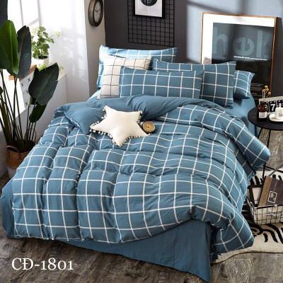 Bộ Vỏ Chăn Ga Gối Cotton Đũi Nhập Khẩu Mềm Mịn, SALE CỰC LỚN, RẺ CHƯA TỪNG CÓ. ( gửi màu ngẫu nhiên