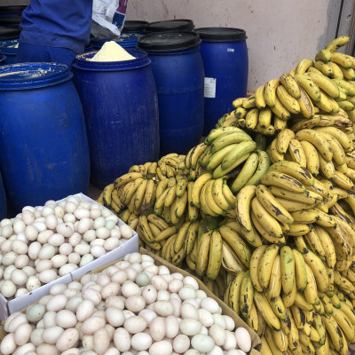 Combo Phân bón đậu tương, đậu nành chuối humic DOCNEEM kích mầm, chồi, hoa chuẩn form trên hoa hồng, cây cảnh, combo 2 chai 1 lít