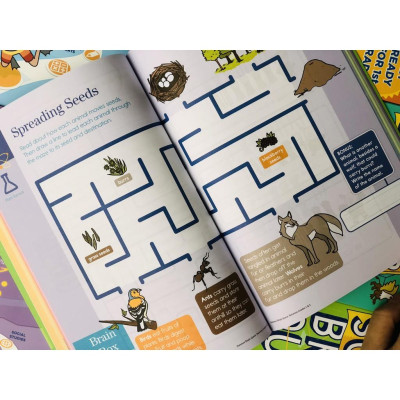 Sách Summer Brain Quest Grade 1 & 2 ( 6 - 7 tuổi )