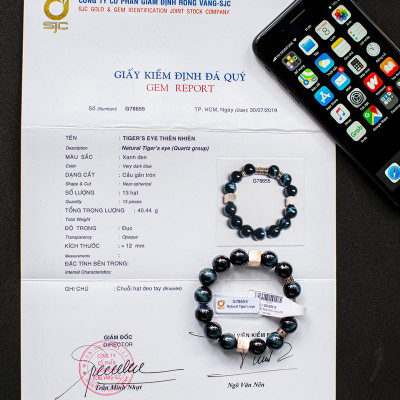 Vòng phong thủy nam Mắt chim ưng thiên nhiên  VIP mix bạc VN011