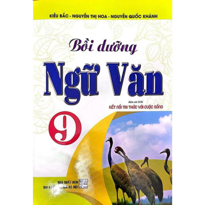 Bồi dưỡng ngữ văn 9 (bám sát sgk kết nối tri thức với cuộc sống) - HA