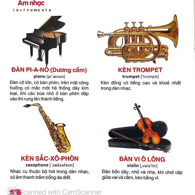 Từ Điển Tranh Dành Cho Thiếu Nhi - Giao Thông, Thể Thao, Âm Nhạc