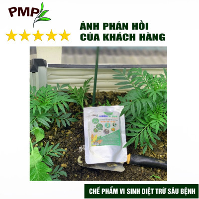 Bộ trừ bệnh vi sinh, sinh học PMP cho cà chua bạch tuộc - Killpa, Trichoderma, Biomic, Green Neem, Giấm gỗ Apy, Mật rỉ đường