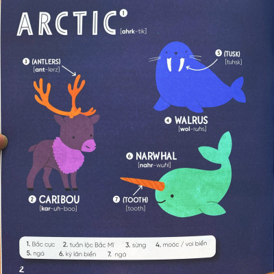 STEAM WORDS: Animals - Từ Vựng Về Động Vật (*** Sách Bản Quyền ***)