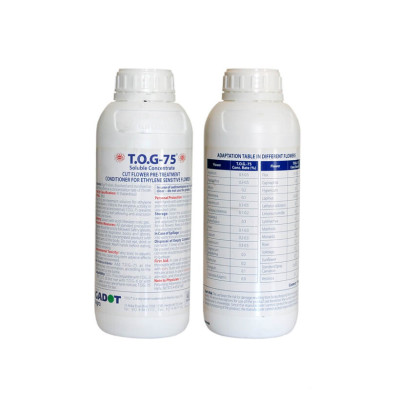 Xử lý Hoa Lily không nở trong 15 ngày tại nhà vườn trồng hoa Growers nhập khẩu Israel TOG đậm đặc Combo pha 1.000L dung dịch