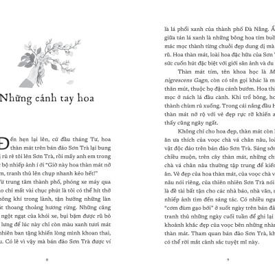 Sách - Vết Cũ Ngày Mưa