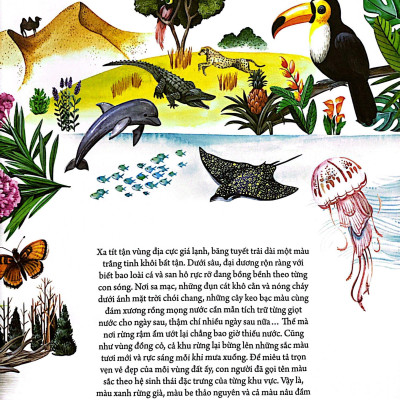 Những Mảnh Ghép Đa Sắc Của Các Hệ Sinh Thái