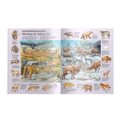 Thử tài tìm kiếm - Khủng long (Tái bản 2023)