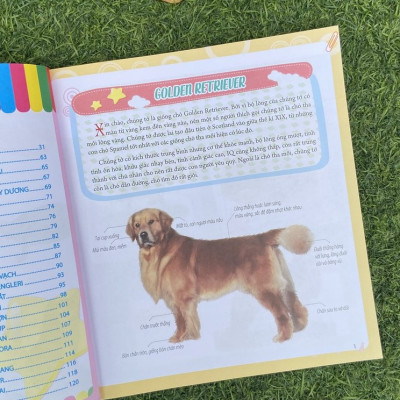 Sách- Bách Khoa Động Vật Dành Cho Trẻ Nhỏ - Thú Cưng