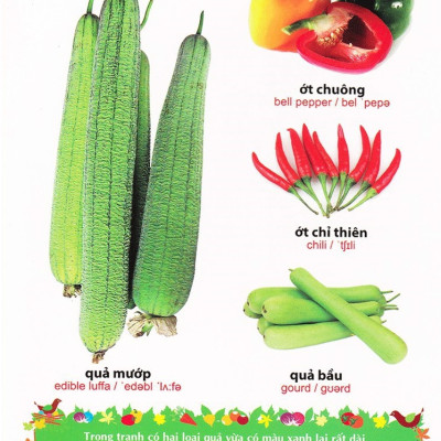 Sách: Từ Điển Tranh Về Rau - Củ - Quả - Hoa (Bìa Cứng) B55