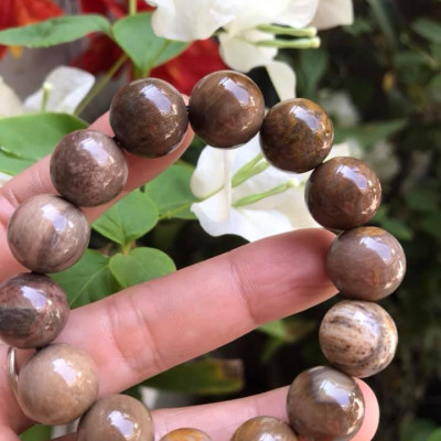 Vòng Gỗ Hóa Thạch Màu Vân Tự Nhiên Bóng Đẹp  Nam Đeo 14mm Màu Nâu Sáng Bóng Vàng Nhẹ  Nam đeo vào tay đẹp sang tốt rẻ nữa ạ