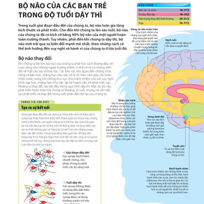 Sách Bách Khoa Thư Về Phát Triển Kỹ Năng - Tuổi Dậy Thì