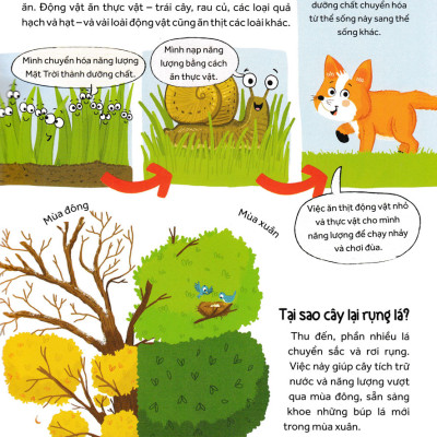 	Những Câu Hỏi Tò Mò Và Giải Đáp Thú Vị Về Thực Vật _HH