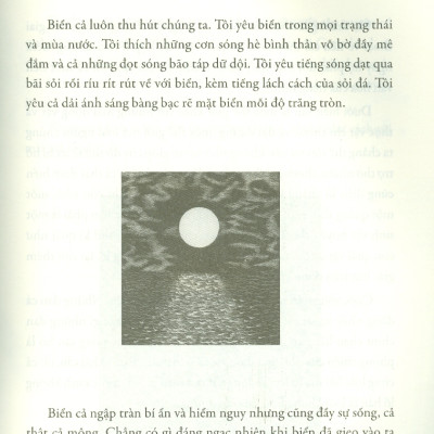 Nàng Tiên Cá Nhỏ Và Những Chuyện Kể Chốn Biển Xanh