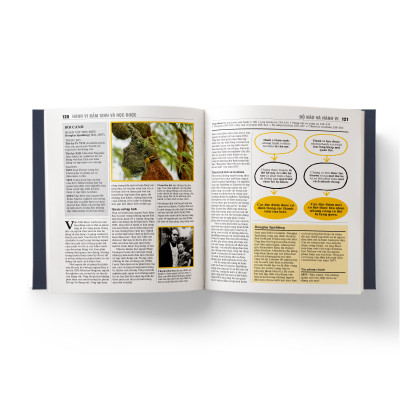 Sách - Sinh Học - Khái Lược Những Tư Tưởng Lớn - Bìa Cứng