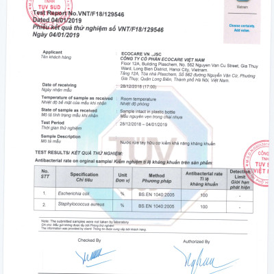 Nước rửa tay hữu cơ diệt khuẩn dạng bọt tinh dàu Cam 250ml thương hiệu Ecocare