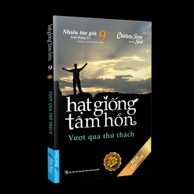 Hạt Giống Tâm Hồn 9 (Tái Bản)
