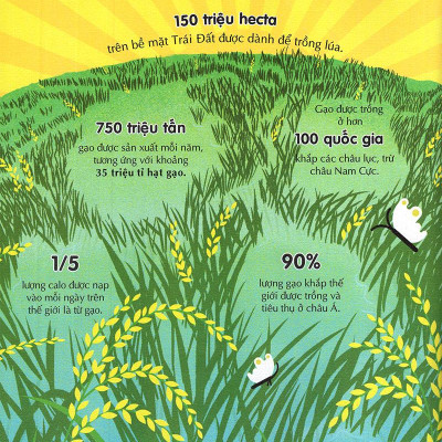 Sách 100 Bí Mật Kinh Ngạc - 100 Bí Ẩn Kinh Ngạc Về Thức Ăn