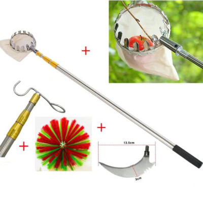 Bộ Sào Vợt Inox Hái Trái Cây Trên Cao – Rút Dài Tới 6M, Kèm 4 Phụ Kiện Tiện Lợi Hàng Xịn Loại 1