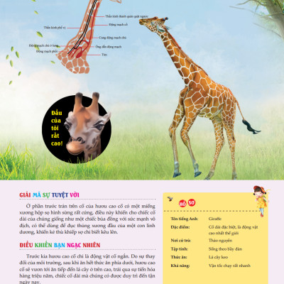 Bách Khoa Toàn Thư Tìm Hiểu Về Trái Đất - Thế Giới Động Vật (Tái Bản 2023)