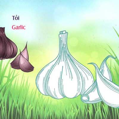 Bé Làm Quen Môi Trường - Rau Củ