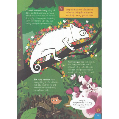 Khám phá rừng già động vật hoang dã - Bản Quyền