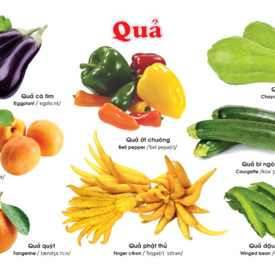 Sách - Từ điển bằng tranh Rau Củ Quả(135)- ndbooks