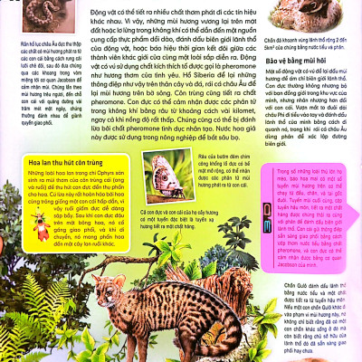 Tủ Sách Thế Giới Động Vật - Kết Đôi Và Sinh Sản (Hình Minh Họa 3D)