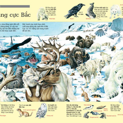 Thử Tài Tìm Kiếm - Động Vật (Tái Bản 2023)