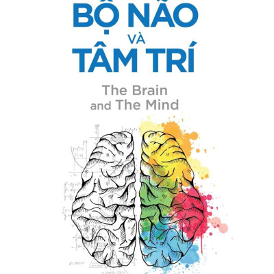 Tâm Lý Học Toàn Thư - Bộ Não Và Tâm Trí