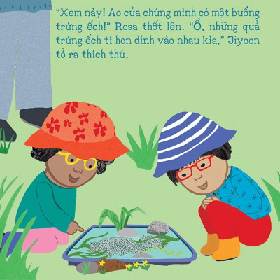 Thí Nghiệm Vui Cùng Rosa - Vòng Đời Của Ếch