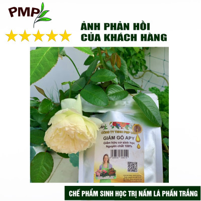 Bộ trừ bệnh vi sinh, sinh học PMP cho cà chua bạch tuộc - Killpa, Trichoderma, Biomic, Green Neem, Giấm gỗ Apy, Mật rỉ đường